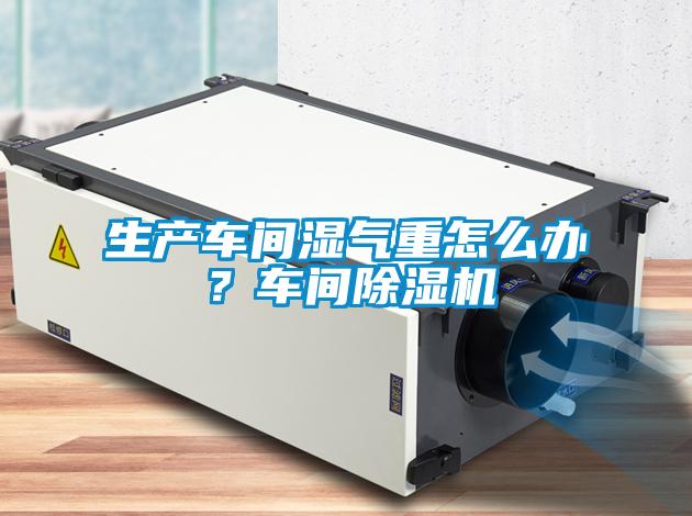 生產(chǎn)車間濕氣重怎么辦？車間除濕機