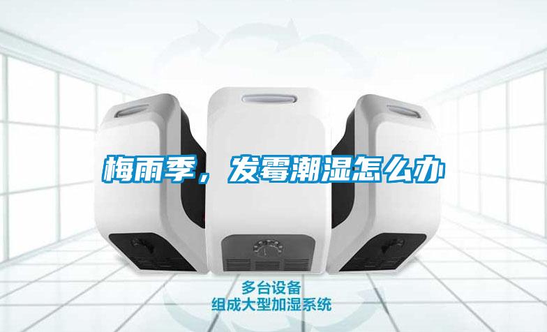 梅雨季，發(fā)霉潮濕怎么辦