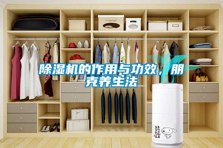 除濕機(jī)的作用與功效，朋克養(yǎng)生法