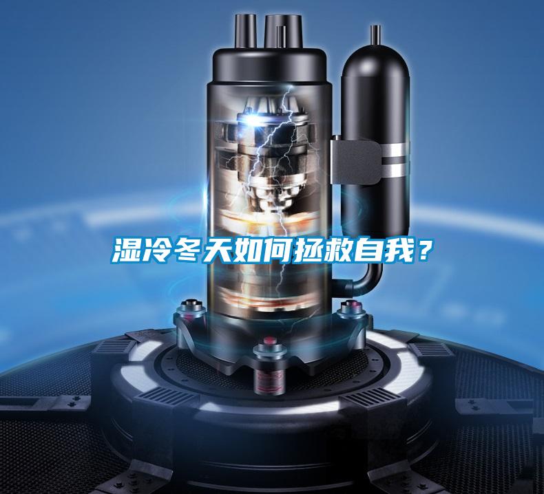 濕冷冬天如何拯救自我？