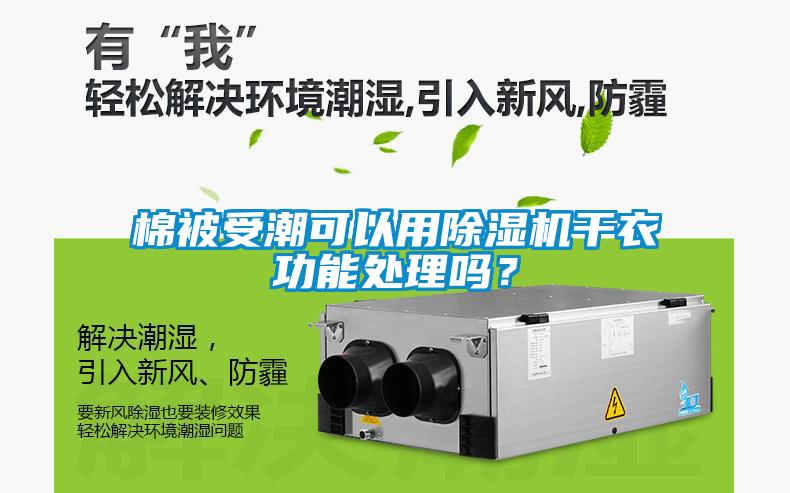 棉被受潮可以用除濕機干衣功能處理嗎？