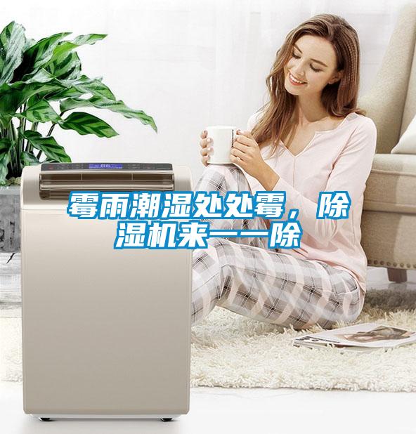 霉雨潮濕處處霉，除濕機來一一除