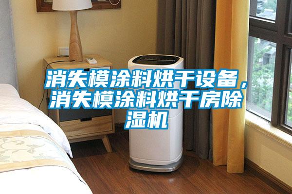 消失模涂料烘干設備，消失模涂料烘干房除濕機