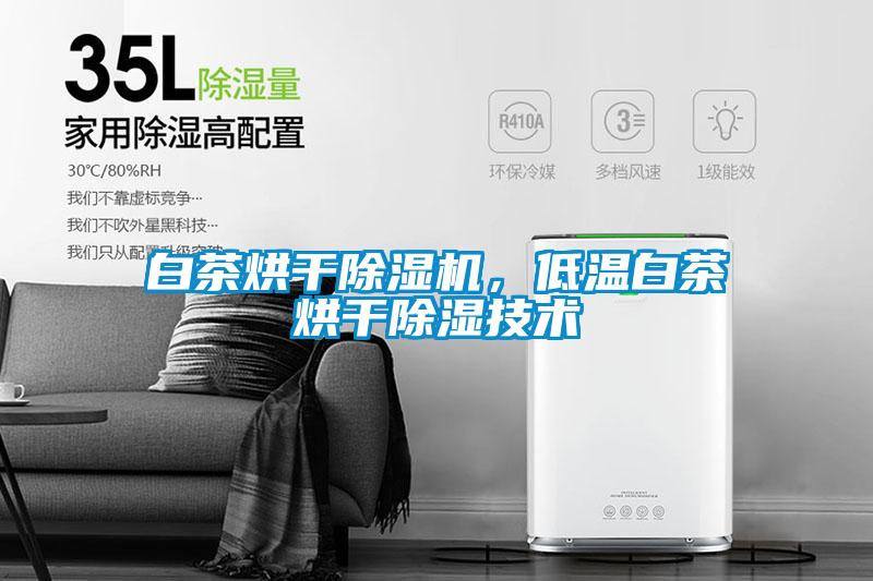 白茶烘干除濕機(jī)，低溫白茶烘干除濕技術(shù)