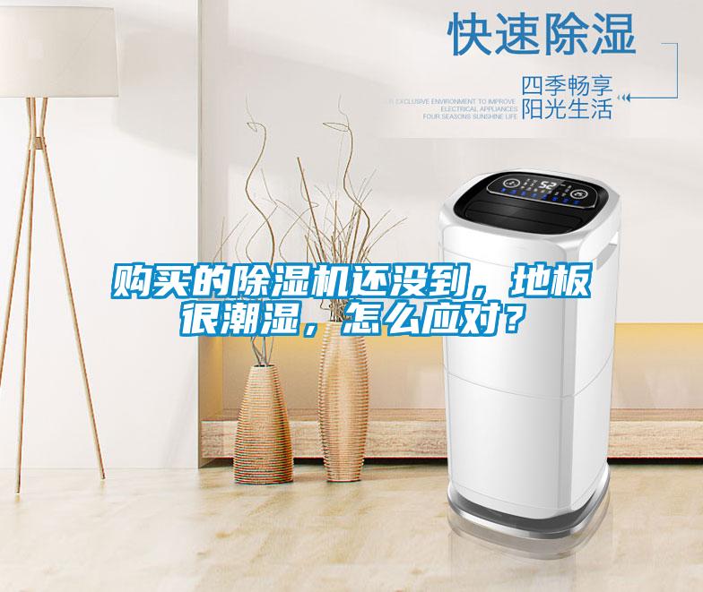 購買的除濕機(jī)還沒到，地板很潮濕，怎么應(yīng)對？