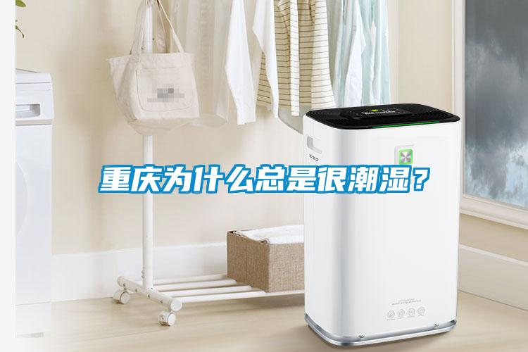 重慶為什么總是很潮濕？