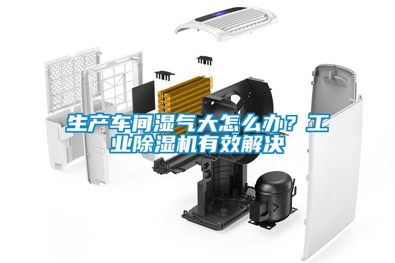 生產(chǎn)車間濕氣大怎么辦？工業(yè)除濕機有效解決