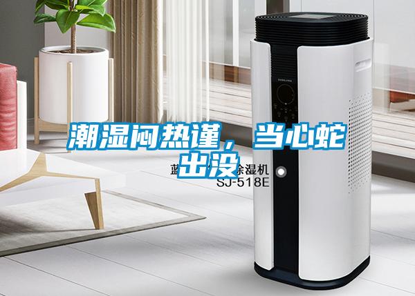 潮濕悶熱謹(jǐn)，當(dāng)心蛇出沒