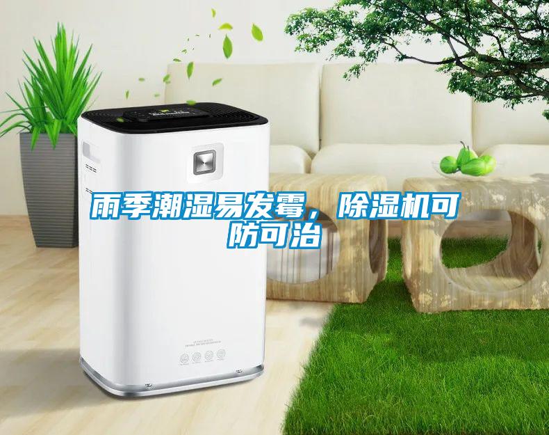 雨季潮濕易發(fā)霉，除濕機(jī)可防可治