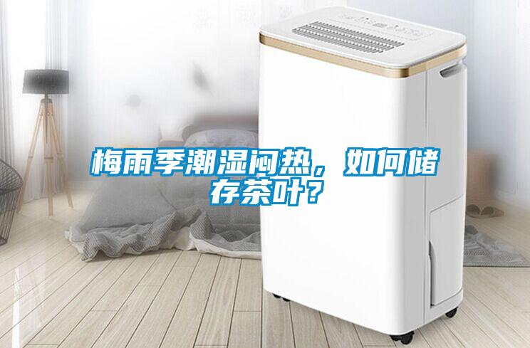 梅雨季潮濕悶熱，如何儲存茶葉？