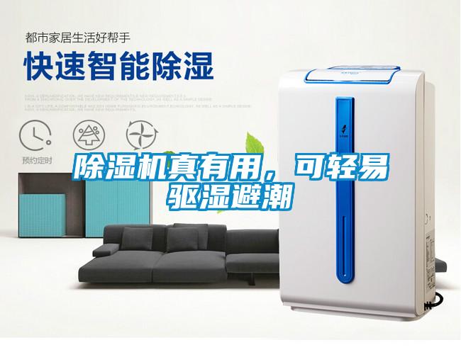除濕機真有用，可輕易驅濕避潮