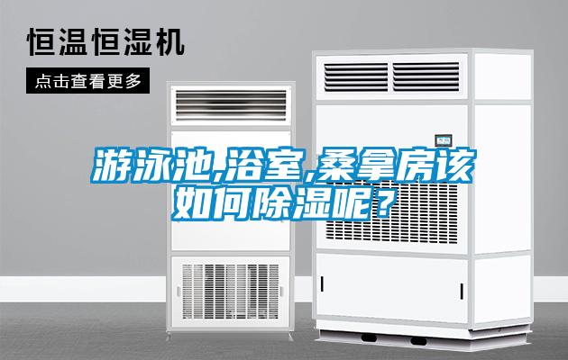 游泳池,浴室,桑拿房該如何除濕呢？