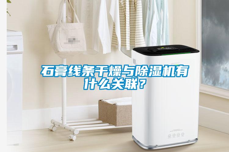 石膏線條干燥與除濕機(jī)有什么關(guān)聯(lián)？