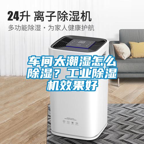 車間太潮濕怎么除濕？工業(yè)除濕機(jī)效果好