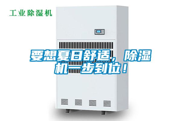 要想夏日舒適，除濕機(jī)一步到位！