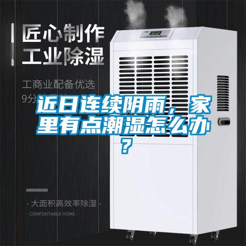 近日連續(xù)陰雨，家里有點(diǎn)潮濕怎么辦？