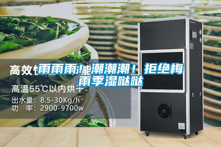 雨雨雨！潮潮潮！拒絕梅雨季濕噠噠
