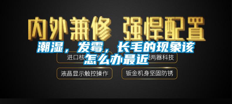 潮濕，發(fā)霉，長毛的現(xiàn)象該怎么辦最近