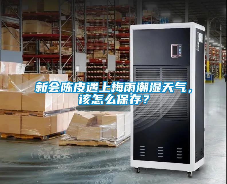 新會陳皮遇上梅雨潮濕天氣，該怎么保存？