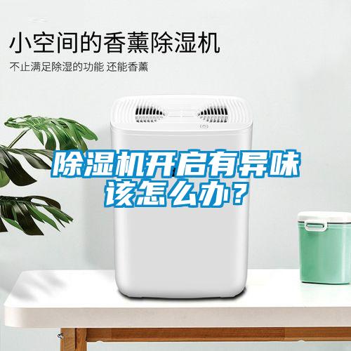 除濕機(jī)開(kāi)啟有異味該怎么辦？
