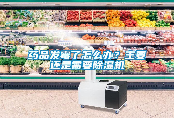 藥品發(fā)霉了怎么辦？主要還是需要除濕機(jī)