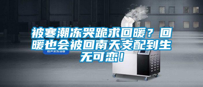 被寒潮凍哭跪求回暖？回暖也會(huì)被回南天支配到生無(wú)可戀！