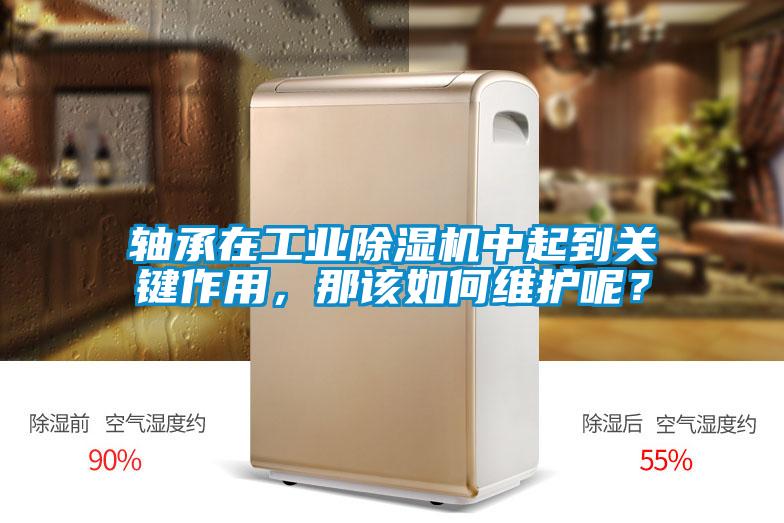 軸承在工業(yè)除濕機中起到關鍵作用，那該如何維護呢？