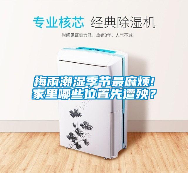 梅雨潮濕季節(jié)最麻煩!家里哪些位置先遭殃？