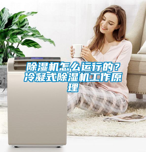除濕機(jī)怎么運(yùn)行的？冷凝式除濕機(jī)工作原理