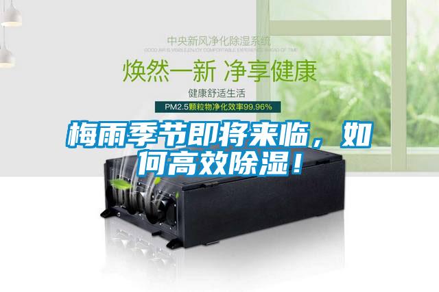 梅雨季節(jié)即將來臨，如何高效除濕！