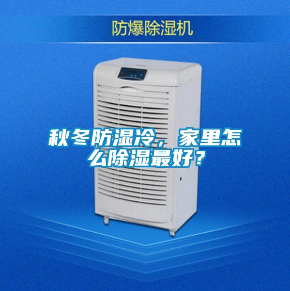 秋冬防濕冷，家里怎么除濕最好？