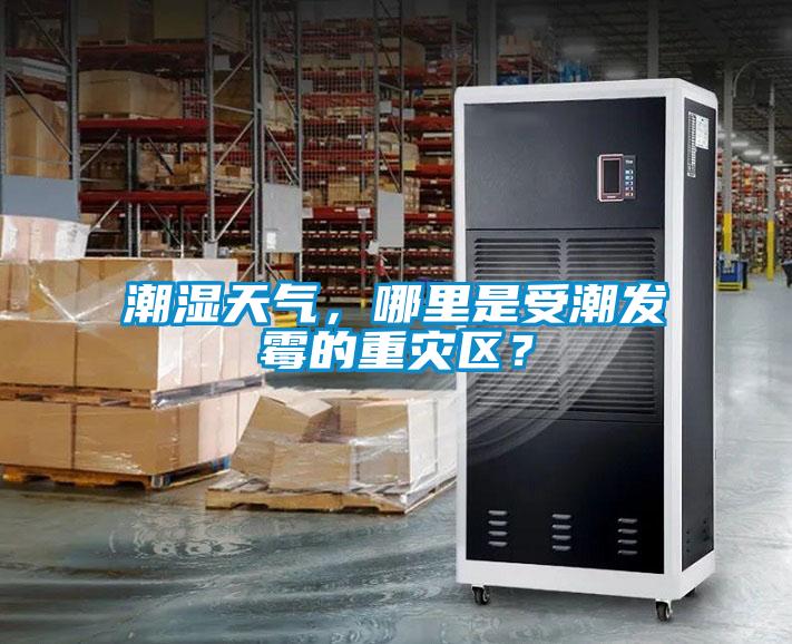 潮濕天氣，哪里是受潮發(fā)霉的重災(zāi)區(qū)？