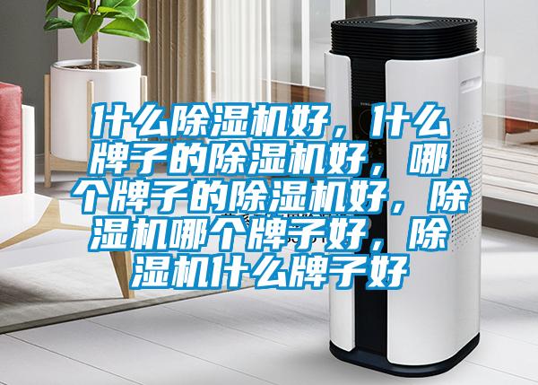 什么除濕機(jī)好，什么牌子的除濕機(jī)好，哪個(gè)牌子的除濕機(jī)好，除濕機(jī)哪個(gè)牌子好，除濕機(jī)什么牌子好