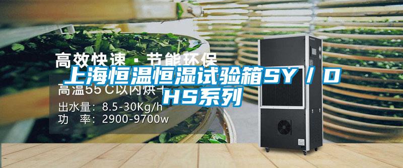 上海恒溫恒濕試驗(yàn)箱SY/DHS系列