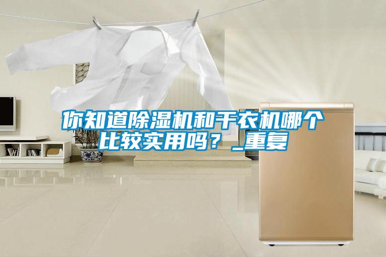 你知道除濕機(jī)和干衣機(jī)哪個(gè)比較實(shí)用嗎？_重復(fù)