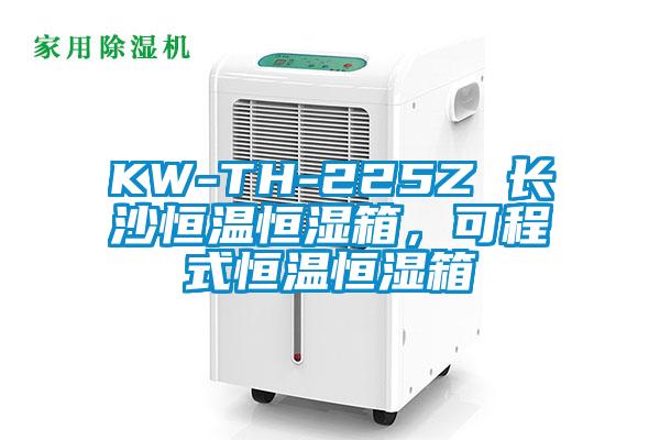 KW-TH-225Z 長沙恒溫恒濕箱，可程式恒溫恒濕箱