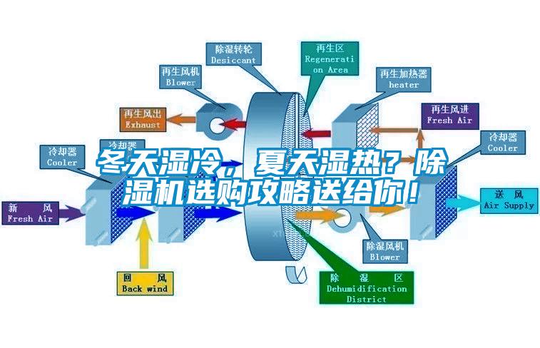 冬天濕冷，夏天濕熱？除濕機(jī)選購攻略送給你！