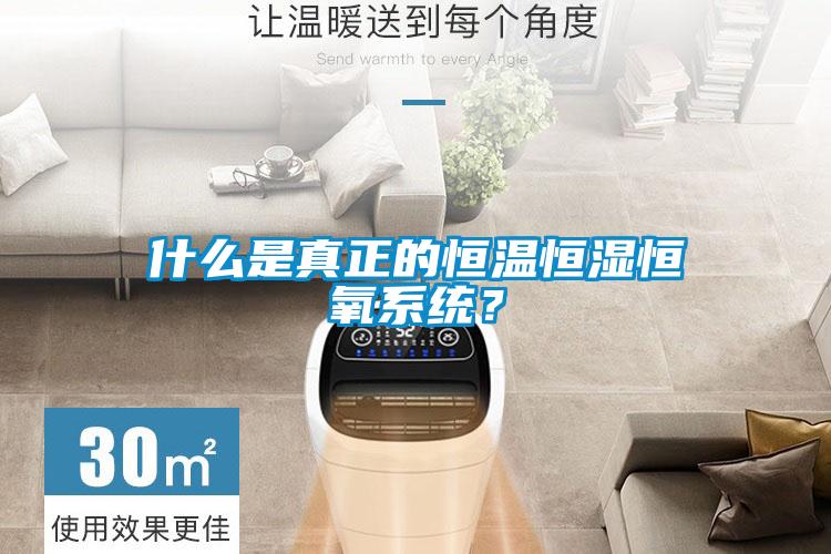 什么是真正的恒溫恒濕恒氧系統(tǒng)？