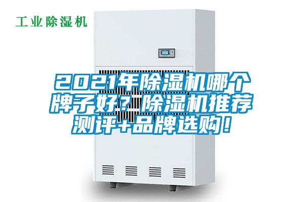 2021年除濕機哪個牌子好？除濕機推薦測評+品牌選購！