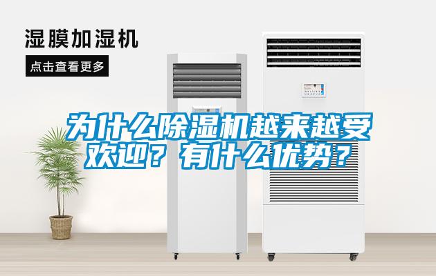為什么除濕機(jī)越來越受歡迎？有什么優(yōu)勢？