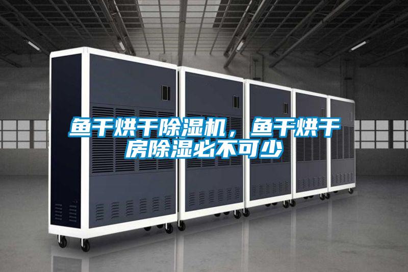 魚干烘干除濕機，魚干烘干房除濕必不可少