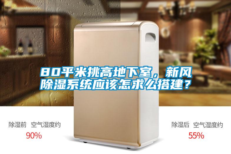 80平米挑高地下室，新風(fēng)除濕系統(tǒng)應(yīng)該怎求么搭建？