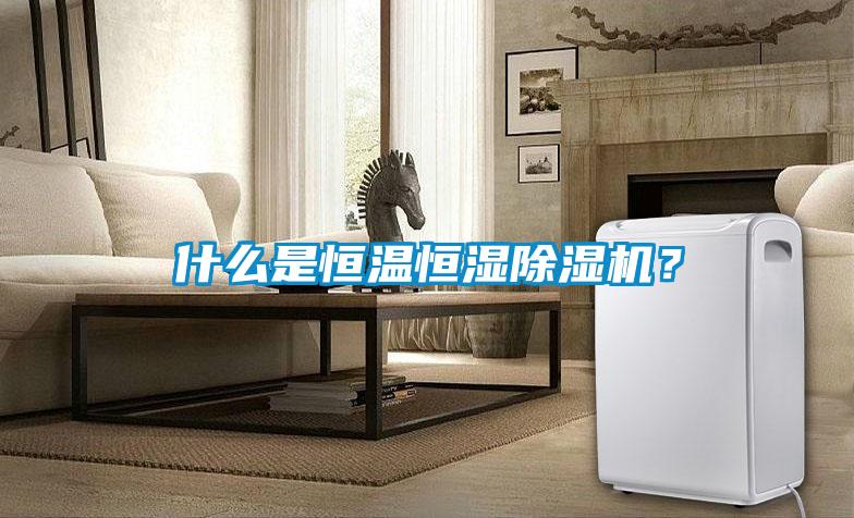 什么是恒溫恒濕除濕機(jī)？
