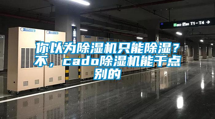 你以為除濕機(jī)只能除濕？不，cado除濕機(jī)能干點(diǎn)別的