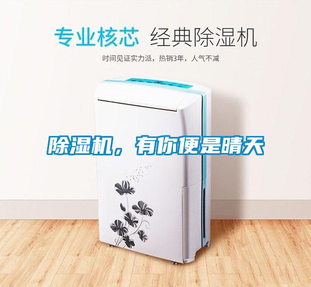 除濕機，有你便是晴天