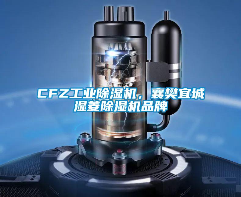 CFZ工業(yè)除濕機，襄樊宜城濕菱除濕機品牌