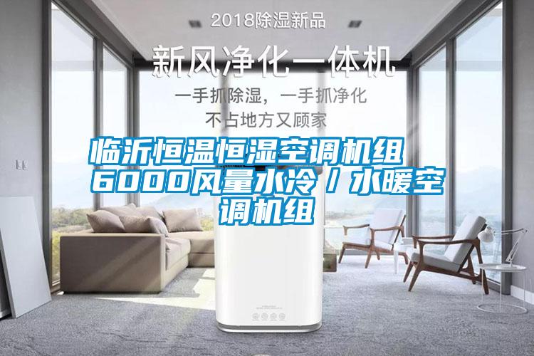 臨沂恒溫恒濕空調(diào)機(jī)組 6000風(fēng)量水冷/水暖空調(diào)機(jī)組