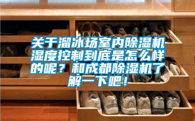 關(guān)于溜冰場(chǎng)室內(nèi)除濕機(jī)濕度控制到底是怎么樣的呢？和成都除濕機(jī)了解一下吧！