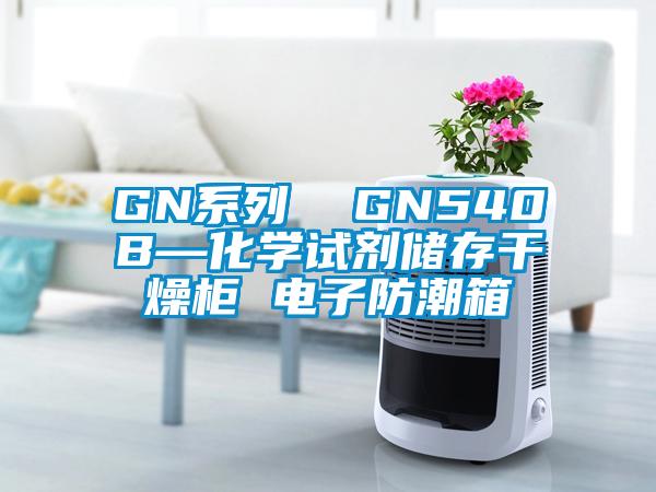 GN系列 GN540B—化學(xué)試劑儲(chǔ)存干燥柜 電子防潮箱