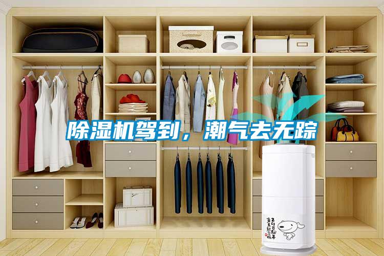 除濕機(jī)駕到，潮氣去無蹤